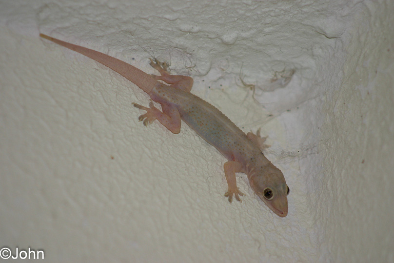 Bonaire, Vakantie - 14 februari 2005