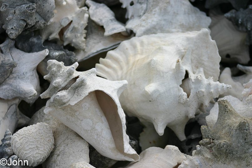 Bonaire, Vakantie - 15 februari 2005