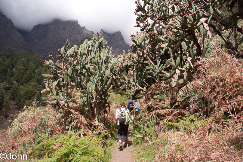 La Palma - 03 maart 2011