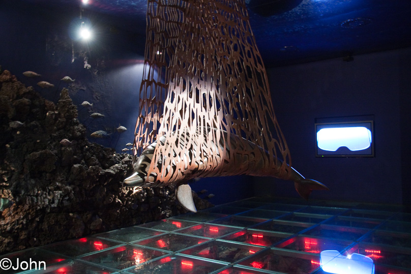 La Palma - 04 maart 2011