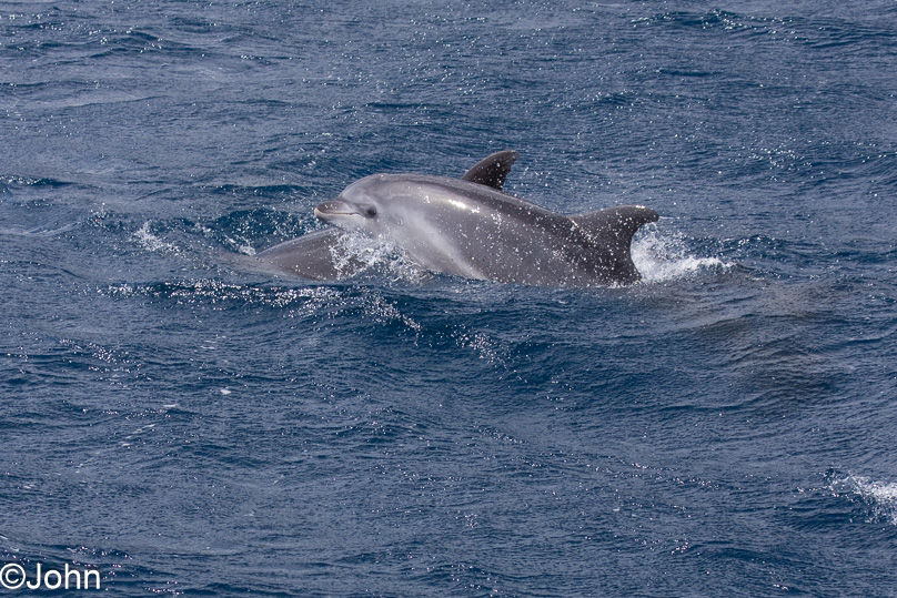 La Palma - 08 maart 2011