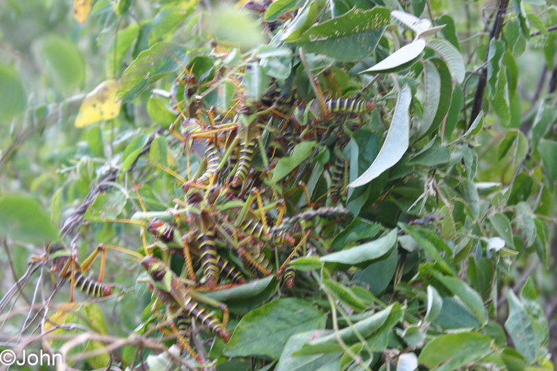 Isla Margarita, Vakantie - 11 februari 2007
