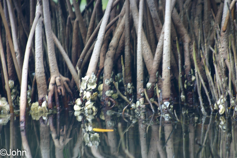 Isla Margarita, Vakantie - 12 februari 2007