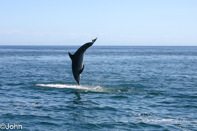 Isla Margarita, Vakantie - 18 februari 2007