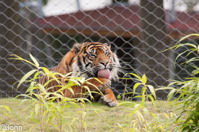 Familie - 29 september 2012