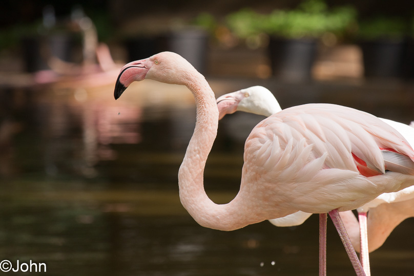 Familie - 29 september 2012