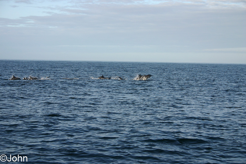Isla Margarita, Vakantie - 18 februari 2007
