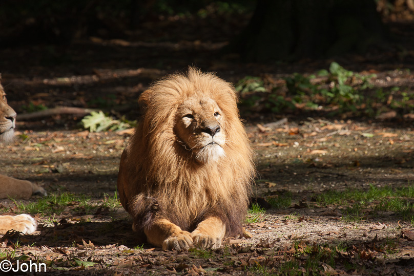 Familie - 29 september 2012