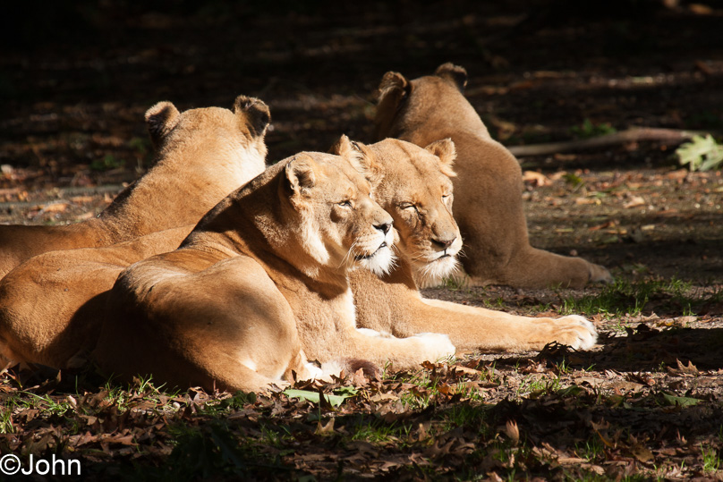 Familie - 29 september 2012