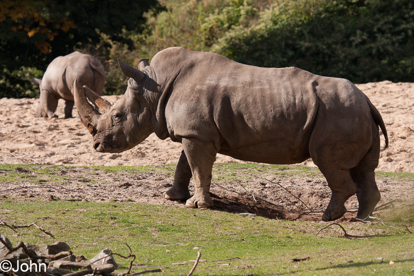 Familie - 29 september 2012
