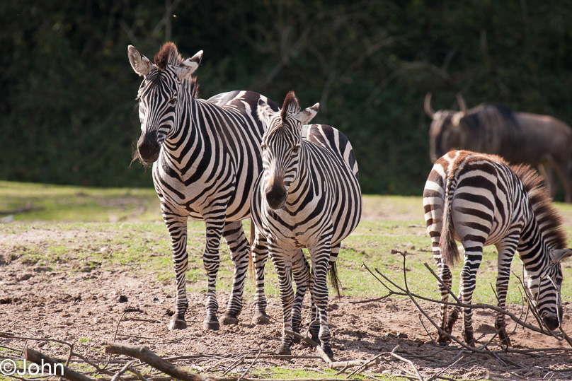 Familie - 29 september 2012
