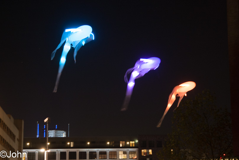 Glow - 13 november 2013