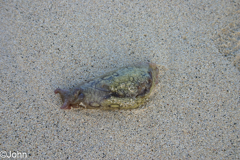 Cabo Verde, Vakantie - 08 februari 2008