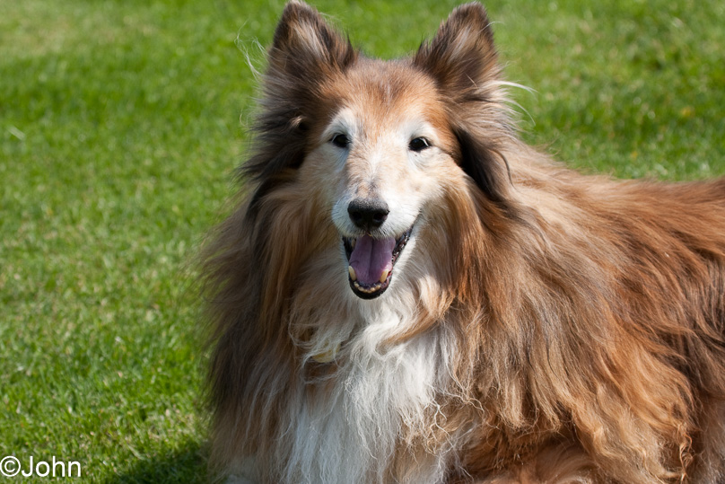Familie, Zeeland, shelly - 30 april 2009