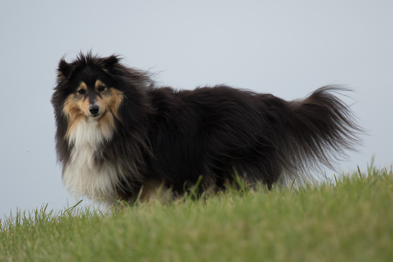 Zeeland - 17 oktober 2015