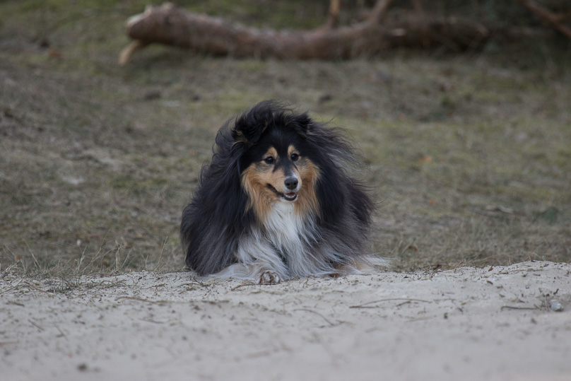 Soerendonk, sara - 25 februari 2018