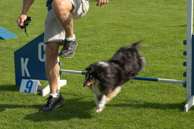 Familie - 22 september 2019