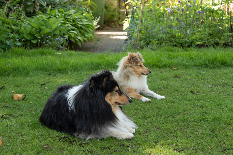 ruby, sara - 06 mei 2020