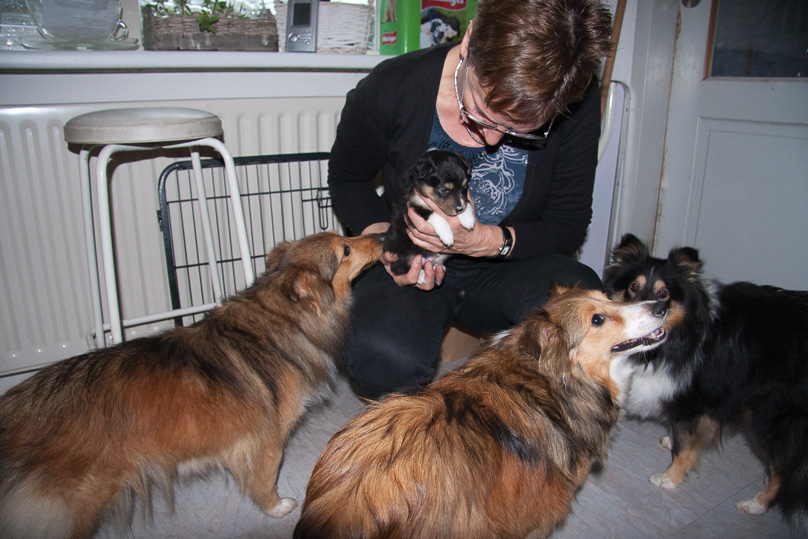 Familie - 03 december 2011