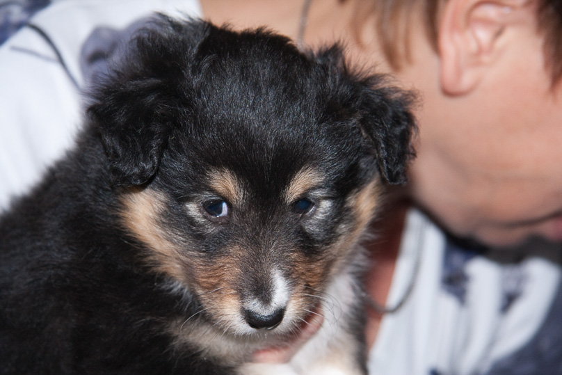 Familie - 16 december 2011