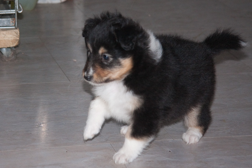 Familie - 16 december 2011