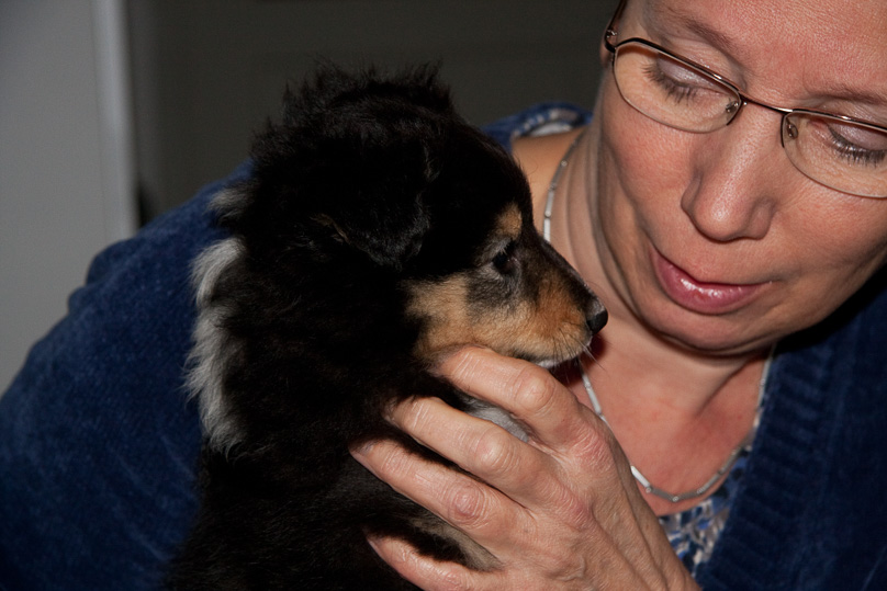 Familie, sara - 29 december 2011