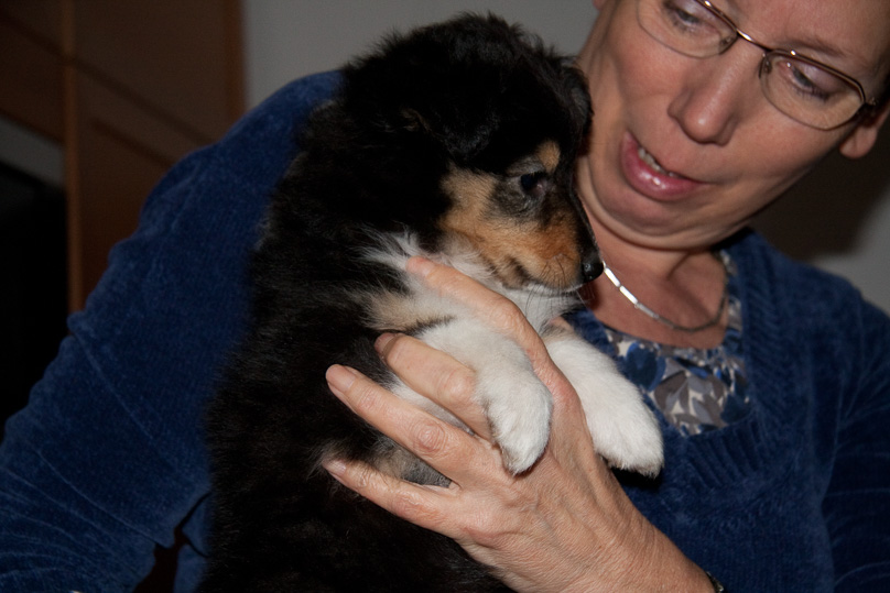 Familie, sara - 29 december 2011