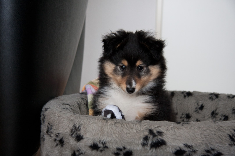 Familie, sara - 06 januari 2012