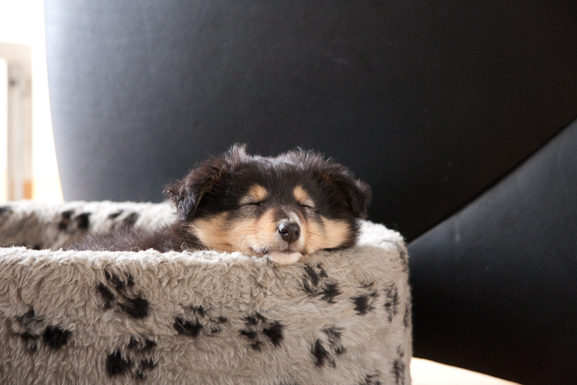 Familie, sara - 06 januari 2012