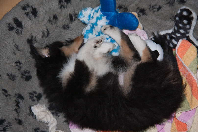 Familie, sara - 06 januari 2012