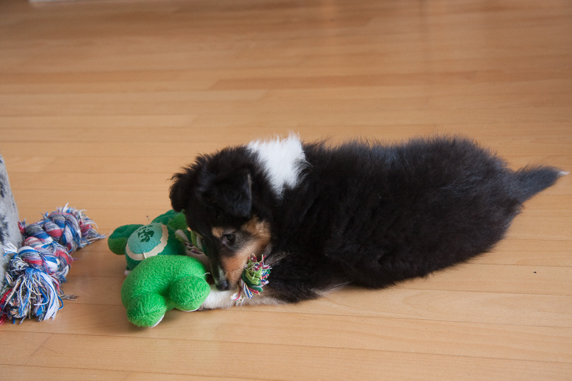 Familie, sara - 07 januari 2012