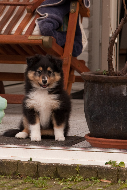Familie, sara - 08 januari 2012