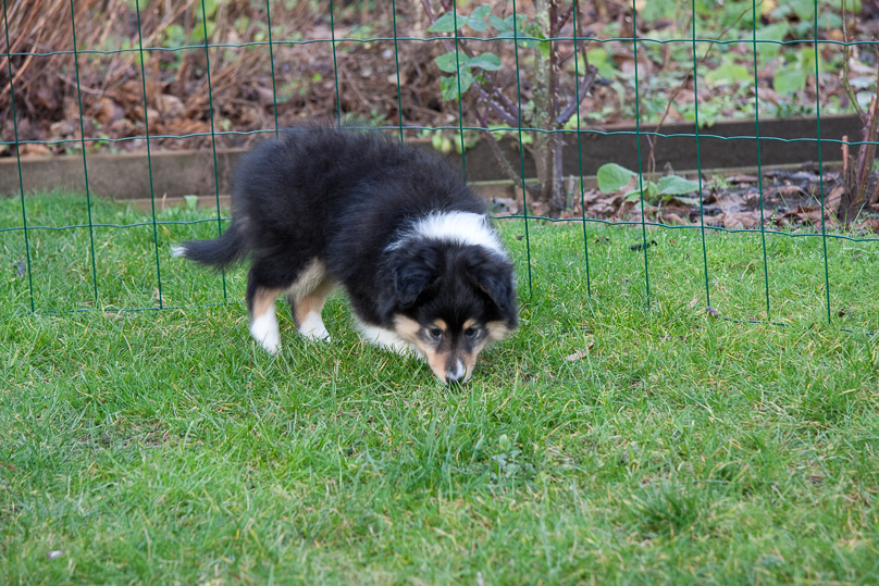 Familie, sara - 08 januari 2012