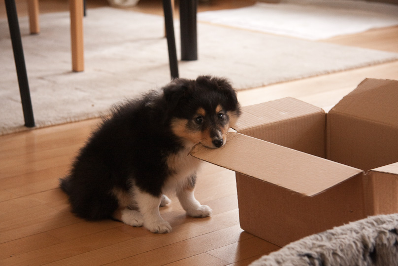 Familie, sara - 08 januari 2012