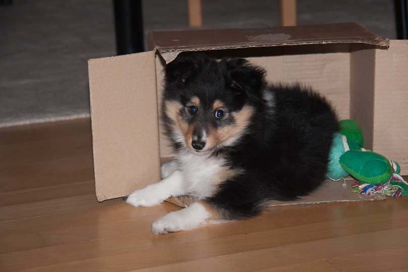 Familie, sara - 14 januari 2012