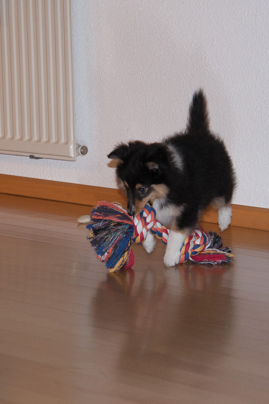 Familie, sara - 22 januari 2012