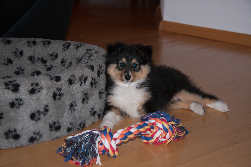 Familie, sara - 22 januari 2012