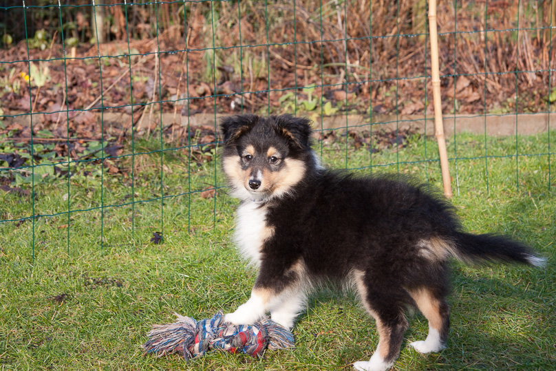 Familie, sara - 27 januari 2012