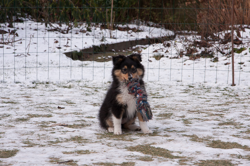 Familie, sara - 03 februari 2012
