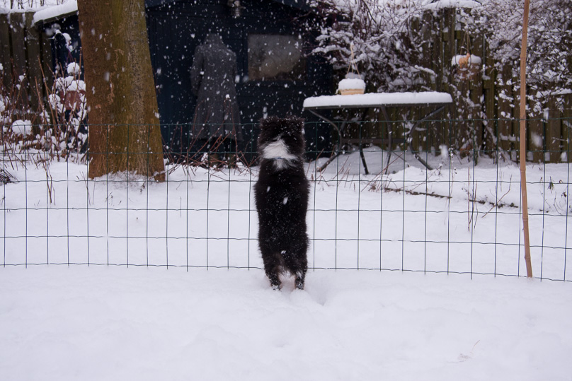 Familie, sara - 03 februari 2012