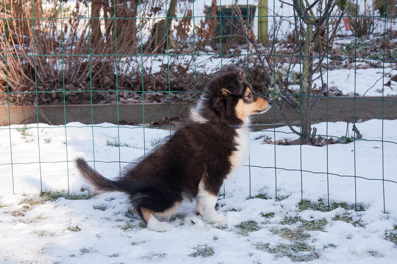 Familie, sara - 10 februari 2012