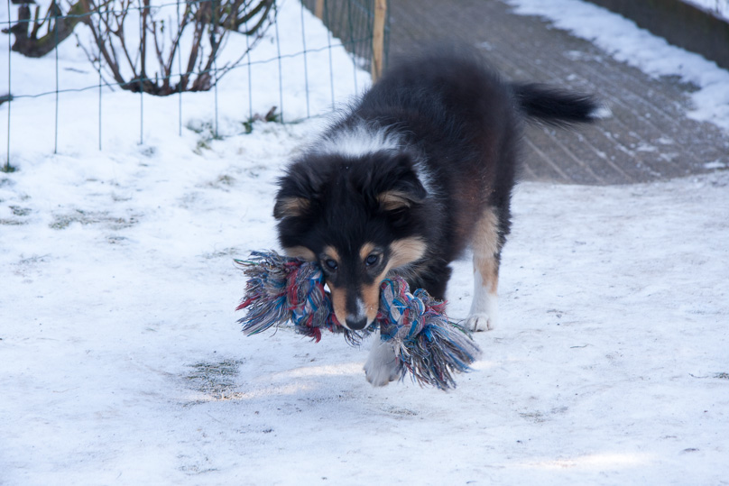 Familie, sara - 10 februari 2012