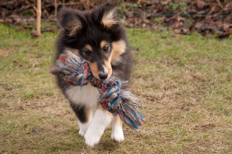 Familie, sara - 17 februari 2012