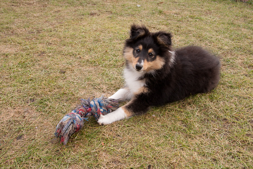 Familie, sara - 17 februari 2012
