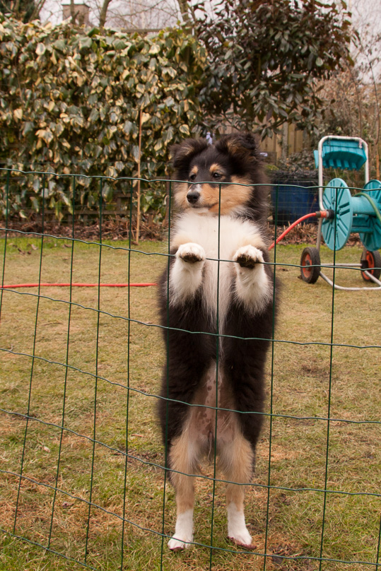 Familie, sara - 18 februari 2012