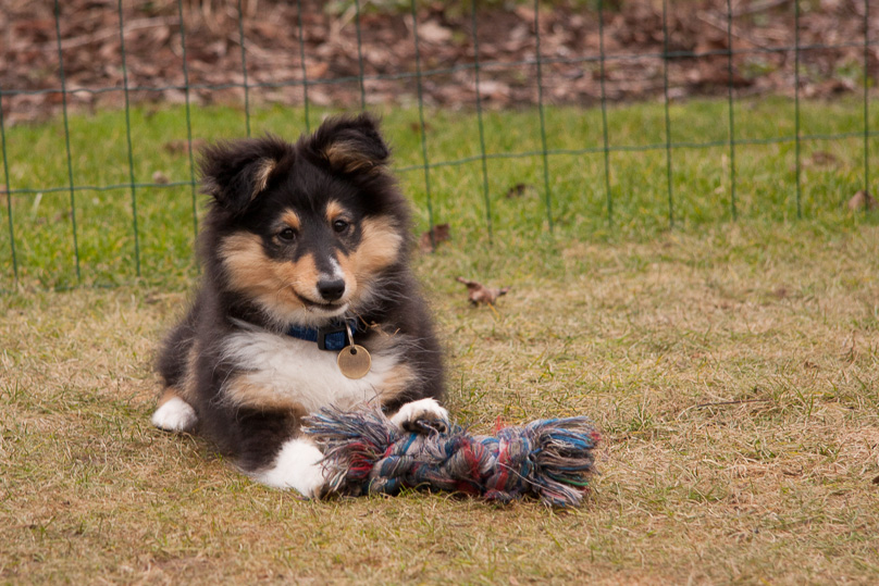 Familie, sara - 24 februari 2012