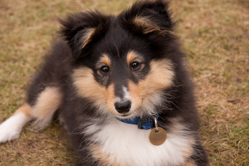 Familie, sara - 24 februari 2012