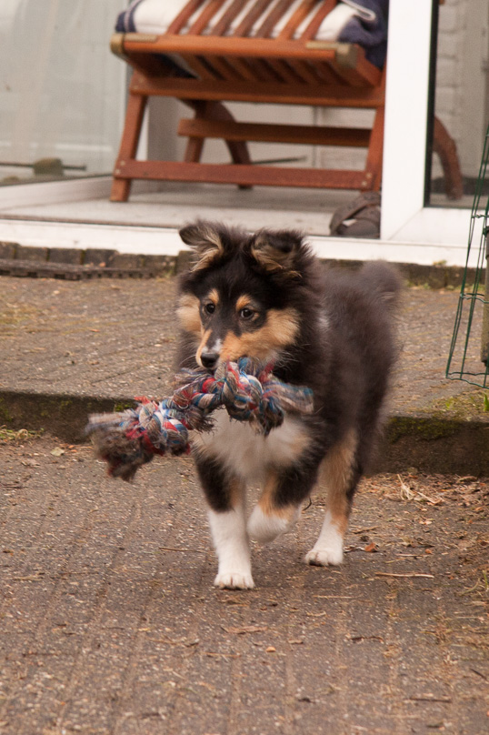 Familie, sara - 24 februari 2012
