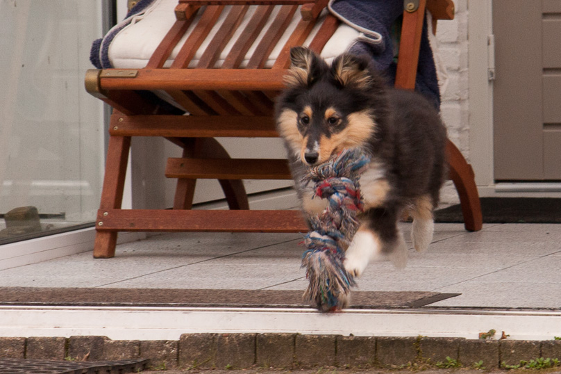 Familie, sara - 03 maart 2012