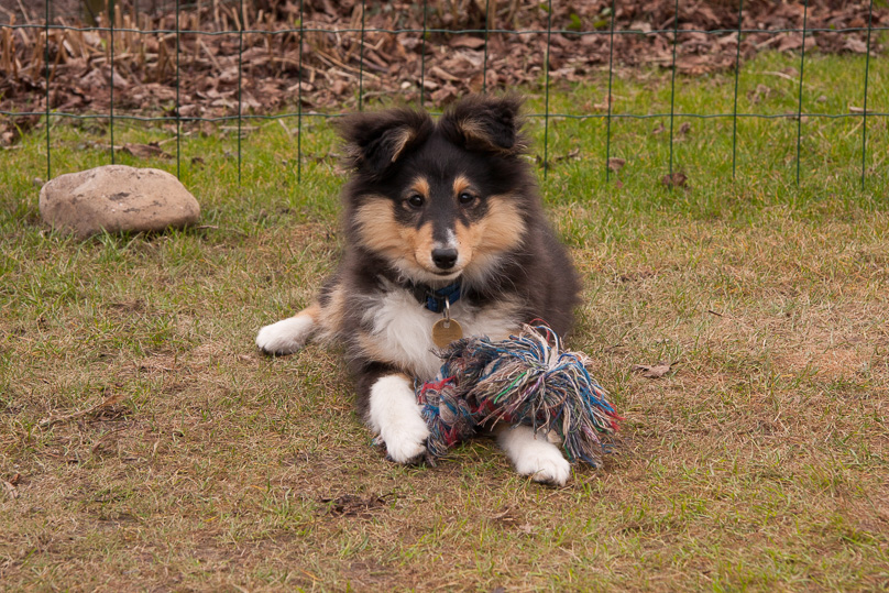 Familie, sara - 03 maart 2012